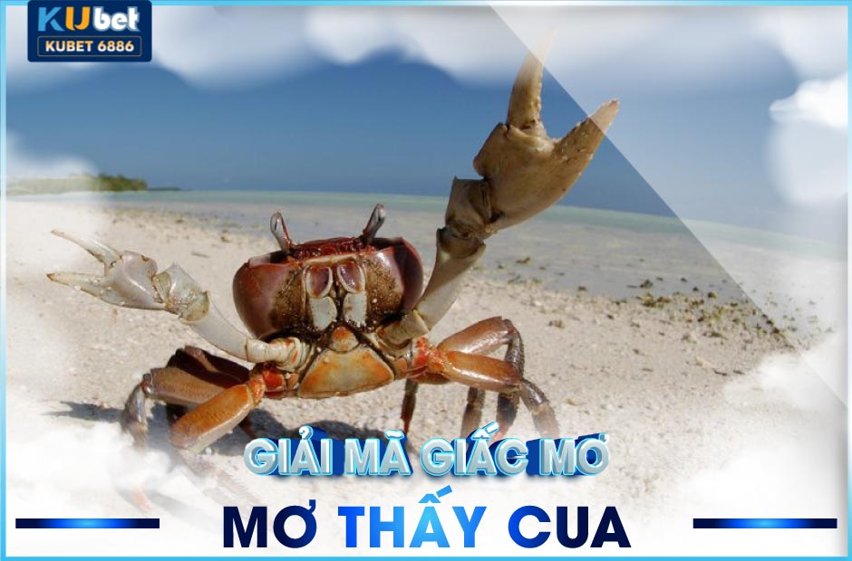 Mơ thấy cua có điềm gì? đánh số nào trúng kubet6886?