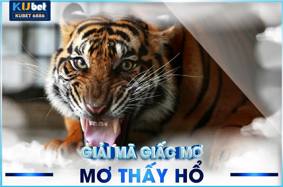 Mơ thấy hổ đánh số gì? Chuyên gia kubet giải mã giấc mơ