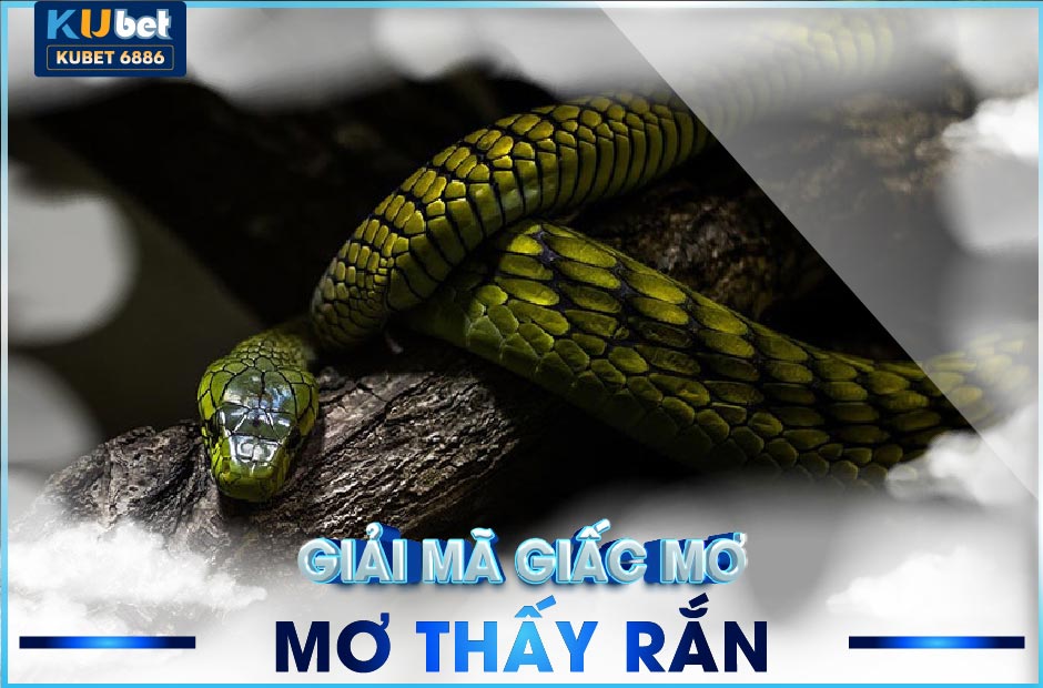 Mơ thấy rắn - ku xổ số