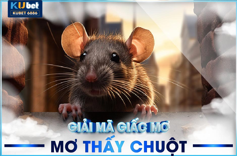 Bí ẩn giấc mơ thấy chuột tại ku xổ số