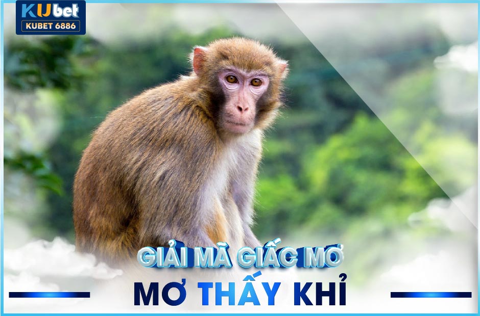 MƠ THẤY KHỈ KUBET ĐÁNH CON SỐ GÌ? ĐIỀM BÁO LÀNH?