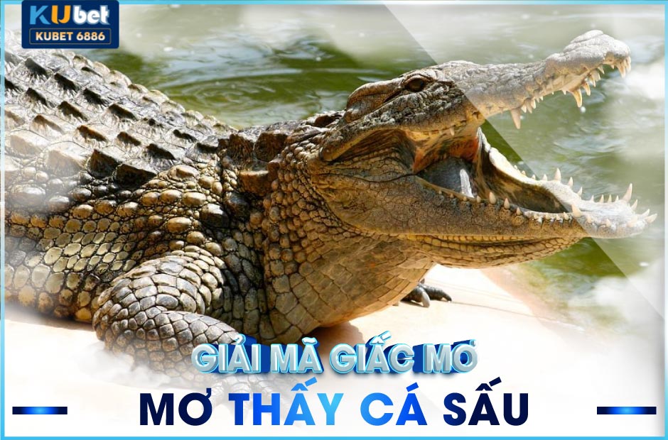 Mơ thấy cá sấu là điềm gì?